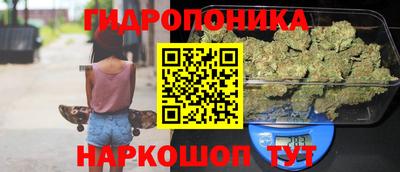 ешки Новокубанск
