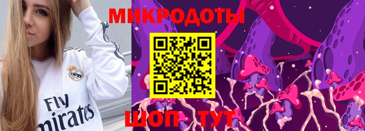 Псилоцибиновые грибы Psilocybine cubensis Сочи